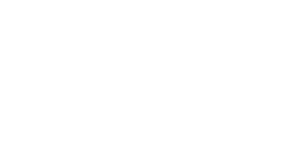 flyeliteaircraft